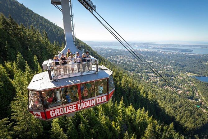 Grouse Mountain & Capilano Bridge Tour with Fish Hatchery - On the Mountain: Bears, Birds, and the Lumberjack Show