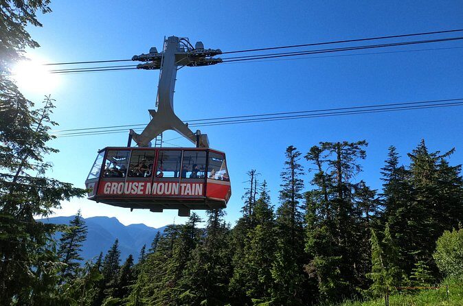 Grouse Mtn Stanley Park Hatchery Cleveland Dam Lynn Canyon Tour - Capilano Lake: A Short Stop That Feels Like a Reset