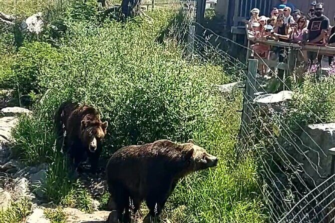 Guided Vancouver Hiking Highlights Day Tour with Gondola Download - Guide quality and pacing that matters when legs slow down