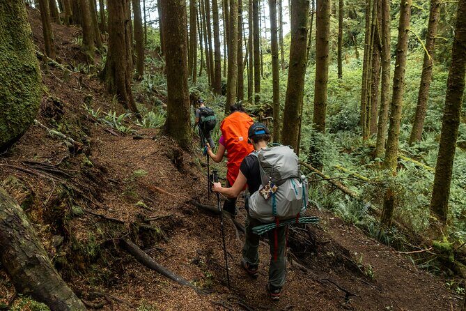 Guided Vancouver Hiking Highlights Day Tour with Gondola Download - Price and value: what $134.13 really buys you