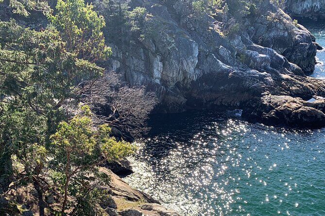 Half-day Hike and Bike Tour in Vancouver - What you’ll do at each stage of the morning (timing that feels realistic)