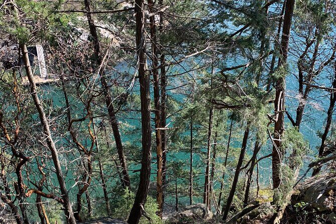Half-day Hike and Bike Tour in Vancouver - Stanley Park seawall cycling: 10km of ocean views and easy photo stops