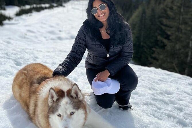 Husky Hikes Private Mountain Tours - Who should book this snowy husky mountain hike?