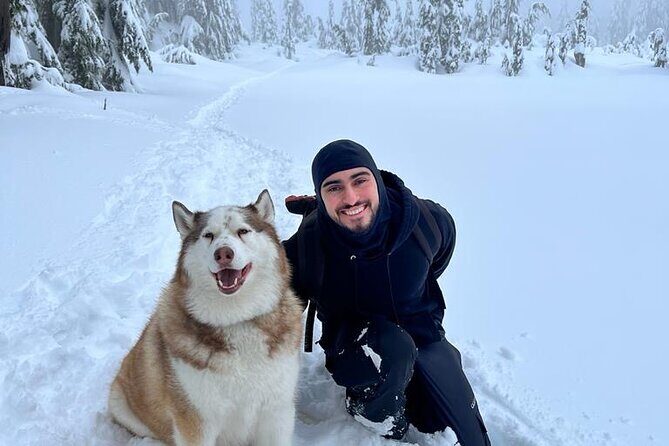 Husky Hikes Private Mountain Tours - Should you book Husky Hikes Private Mountain Tours?