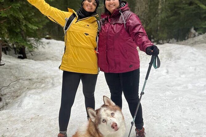 Husky Hikes Private Mountain Tours - FAQ