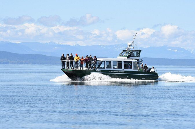 Intimate West Coast Whale Watching - Partly-Sheltered - Meeting Point and Getting There Without Stress