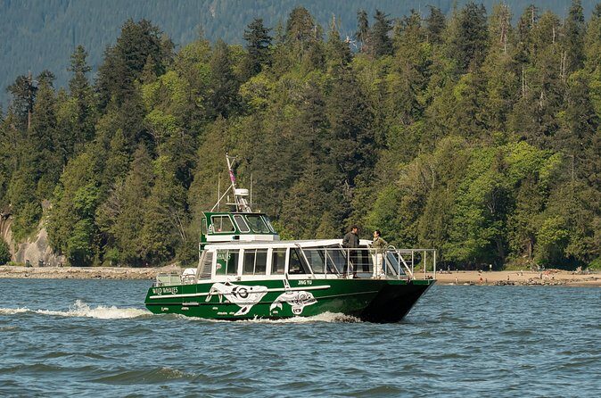 Intimate West Coast Whale Watching - Partly-Sheltered - Price and Value: Is $169.34 Worth It?
