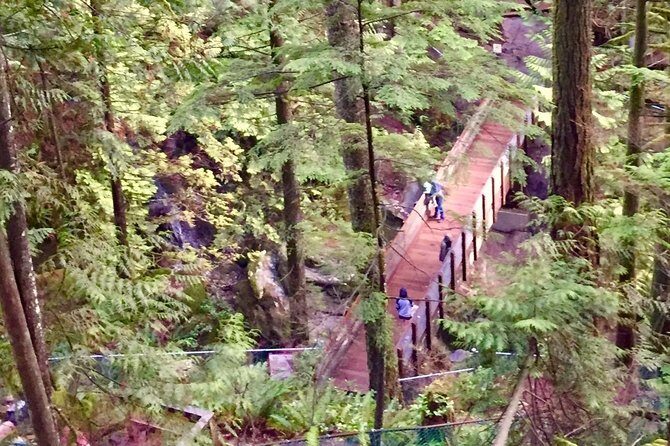 Mesmerizing Nature Walk in Lynn Canyon Park - The Lynn Valley Suspension Bridge: Why the View Gets You