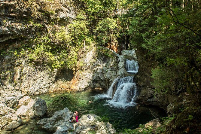 Mesmerizing Nature Walk in Lynn Canyon Park - Small-Group Value: The Real Reason It Feels Personal