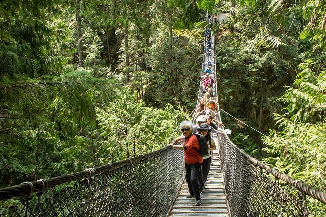 Mesmerizing Nature Walk in Lynn Canyon Park - Lynn Canyon Park: Ecology Centre + Kid’s Exploratorium (20 Minutes)