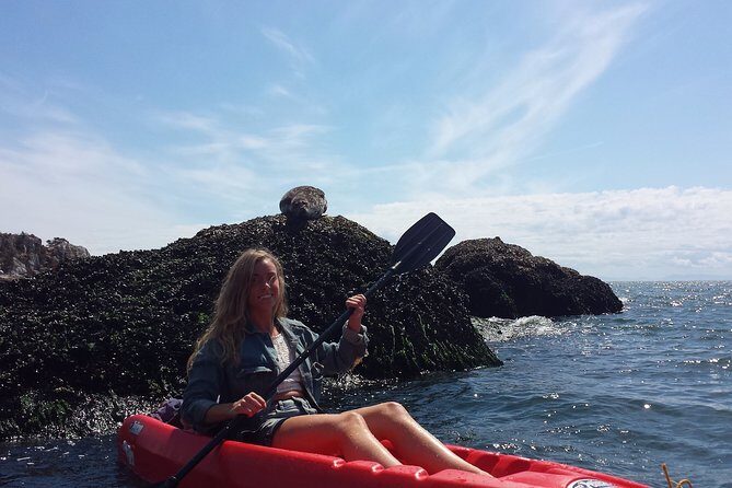 Morning Kayak & Seal Cruise in Vancouver - Key things I’d circle before you go