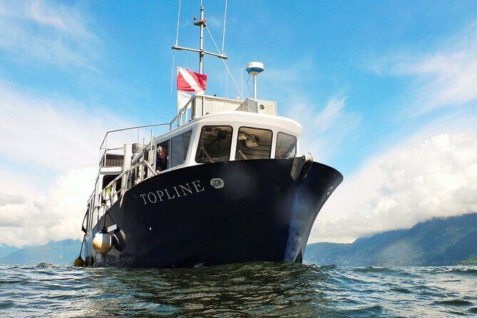 Morning Kayak & Seal Cruise in Vancouver - Crew and care: the human side of the experience