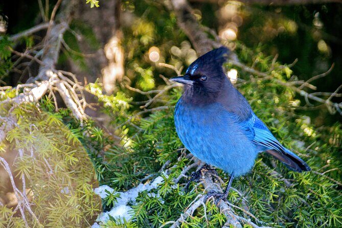 Photography & Advanced Hiking - Getting there: Hyatt pickup, scenic Sea-to-Sky Highway, and a clear 9:00am plan