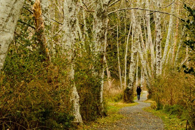 Photography, Hiking & Ferry to Bowen Island - Price and value: what you’re really paying for at $133.61