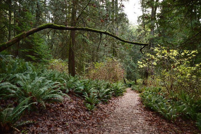 Photography, Hiking & Ferry to Bowen Island - Who this Bowen Island photo hike is best for