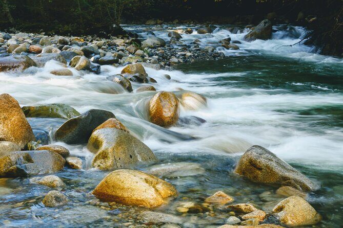 Photography in Rainforest & Suspension Bridge - Stop 1: Lynn Canyon Park Suspension Bridge and Rainforest Waterfalls