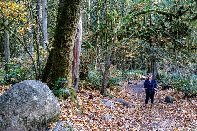 Photography in Rainforest & Suspension Bridge - Who Should Book This Tour (and Who Might Want to Skip It)