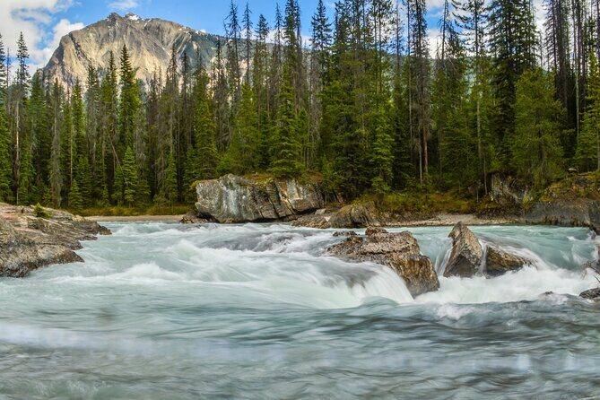 Photography & Rockies Road Trip - Day 3: Athabasca Falls, Jasper Town Breaks, and Icefields Parkway Classics