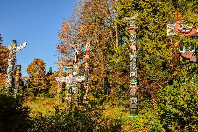Photography & Walk in Stanley Park - Stop 2: Stanley Park’s old-growth forest—more than just pretty trees