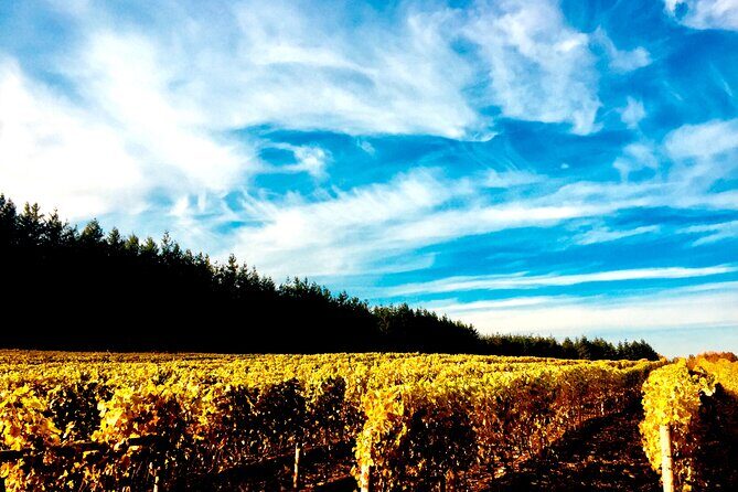 Premium Fraser Valley and White Rock Private Wine Tour - Key things to know before you go