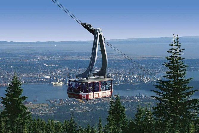 Private Tour: Capilano Suspension Bridge and Grouse Mountain - Price and Value: What $367.78 Really Buys You
