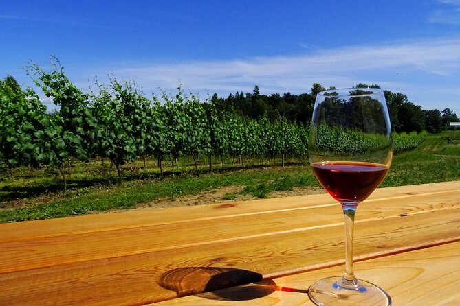 Private Tour: Vancouver Half Day Wine Tasting Tour - How This Half-Day Actually Works From Vancouver