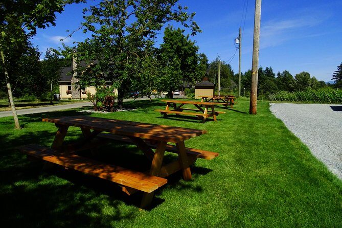 Private Tour: Vancouver Half Day Wine Tasting Tour - Wellbrook’s Old Granary Feel and Fruit-Wine Friendly Start