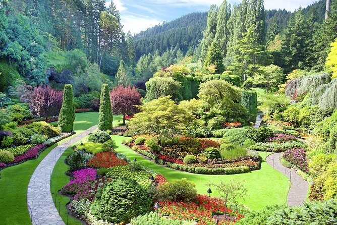 Private Tour: Victoria and Butchart Gardens Day Trip - A Victoria and Butchart Gardens Day Trip That Trades Chaos for Control