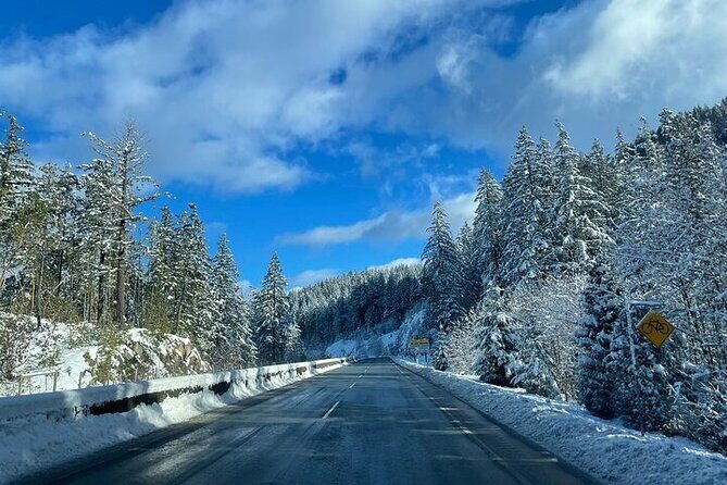Private Transfer Between Vancouver Cruise and Seattle Airport - A Quick Booking Checklist Before You Rely on This Transfer