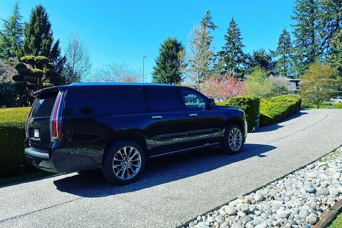 Private Transfer from Vancouver Airport to Cruise Terminal (Port) - Flight Delays, Luggage Delays, and the Reality of Arrival Days