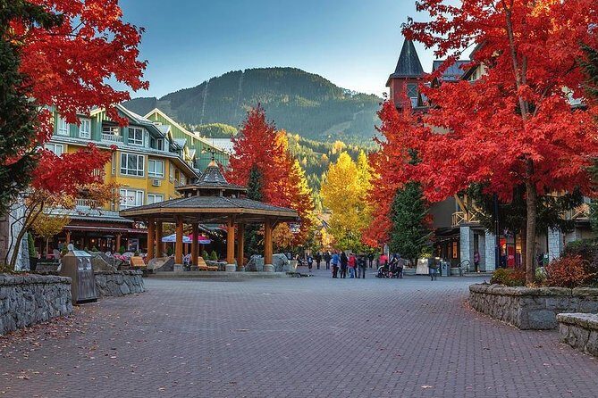 Private Whistler Day Trip from Vancouver - A 9:00 AM Start That Makes the Drive Feel Like Part of the Trip