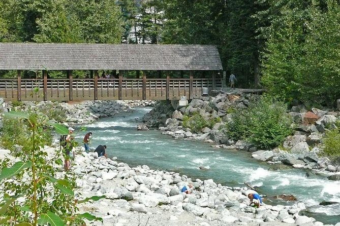 Private Whistler Day Trip from Vancouver - Peak2Peak and Mountaintop Plans: Worth It, But Plan for the Extra Cost