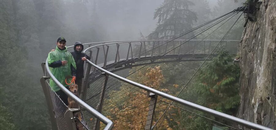 PrivateTour Capilano Br+Granville Islan+Hatchery+Lynn Canyon - Capilano Suspension Bridge, Treetops Adventure, and Cliffwalk