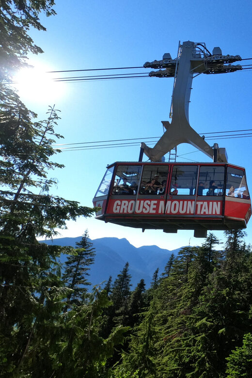 PrivateTour Capilano Br+Granville Islan+Hatchery+Lynn Canyon - Capilano Lush Rainforest and Cleveland Dam Views