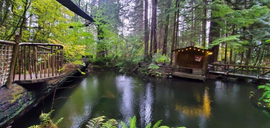 PrivateTour Capilano Br+Granville Islan+Hatchery+Lynn Canyon - Price and Value: Is $189 Per Person Fair for This Much Day?