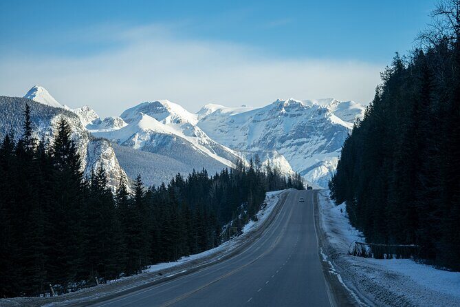 Rockies Winter Premium Tour - Salmon Arm to Vancouver: BC Wildlife Park and a winter wrap-up