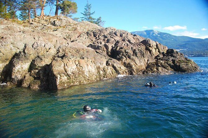 Scuba Dive Boat Charter in Vancouver (Certified Divers Only!) - Rock beds and walls: why the site variety matters