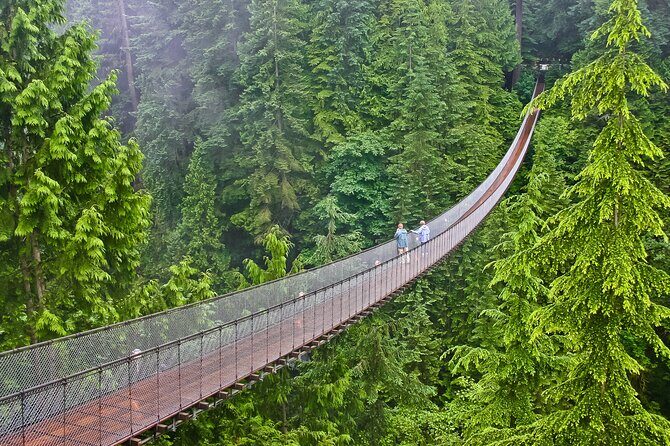 Sea to Sky Highway Self-Guided Driving Audio Tour - Key highlights you’ll actually feel on the drive