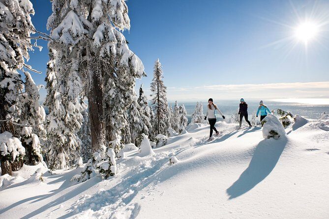Small Group Tour: Capilano Suspension Bridge and Grouse Mountain from Vancouver - Capilano Suspension Bridge and Grouse Mountain in One Compact Vancouver Day