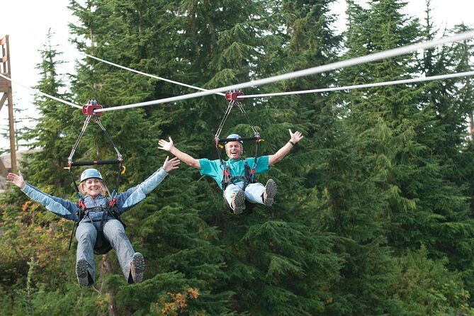 Small Group Tour: Capilano Suspension Bridge and Grouse Mountain from Vancouver - Price and value: what $217.78 buys you (and when DIY might win)