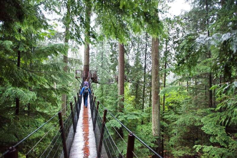 Small group tour of Capilano Bridge & Grouse Mountain - Quick Take: What You’ll Notice Most