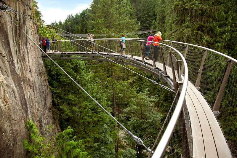 Small group tour of Capilano Bridge & Grouse Mountain - Grouse Mountain: Shows, Native Birds, and Real Wildlife Time