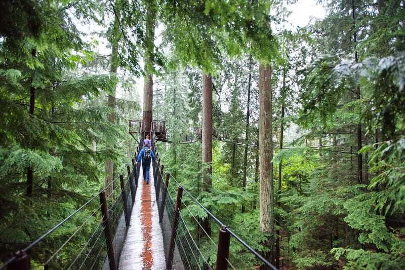 Small group tour of Capilano Bridge & Grouse Mountain - Timing Notes: When the 5-Hour Clock Feels Tight