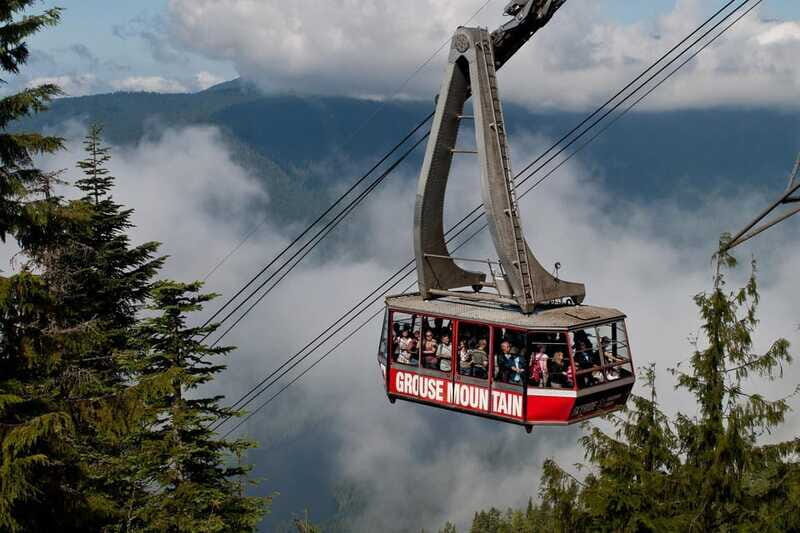 Small group tour of Capilano Bridge & Grouse Mountain - Who Should Book This Tour (and Who Might Want More Time)