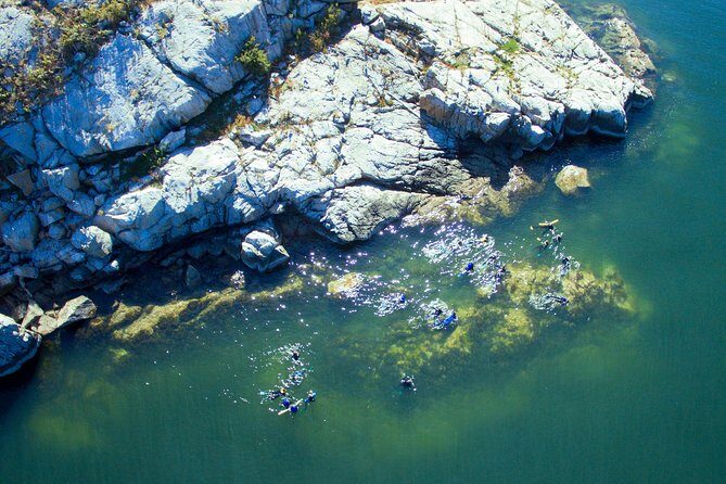 Snorkel, Kayak, and Seal Adventure: Vancouver Boat Tour - Horseshoe Bay to Pam Rocks: the flow that keeps the day fun