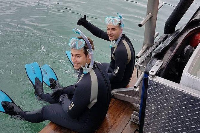 Snorkel, Kayak, and Seal Adventure: Vancouver Boat Tour - Kayaking near the seal colonies: fun on the water, with one important caveat