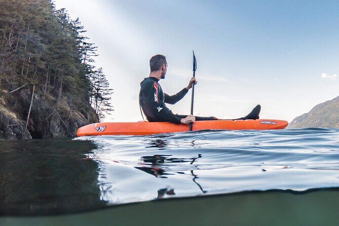 Snorkel, Kayak, and Seal Adventure: Vancouver Boat Tour - Wildlife and scenery around Howe Sound: the bonus factor