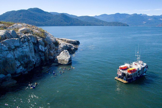 Snorkel, Kayak, and Seal Adventure: Vancouver Boat Tour - Snorkeling with wet suits and a real guide: what to expect in the water