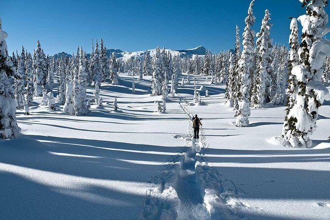Snowshoe Through Vancouver's Winter Wonderland - Key highlights you’ll feel on the day