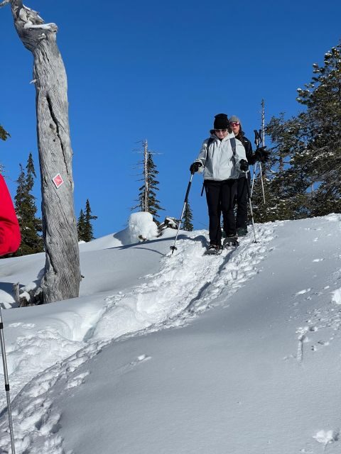 Snowshoeing At The Top Of The Sea To Sky Gondola - Who this snowshoe tour fits best (and who should skip it)